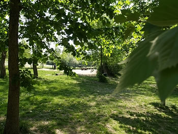 Hundeauslauffl&auml;che - Dortmund Hombruch