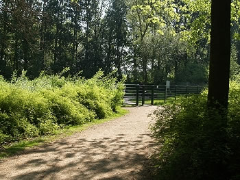 Hundeauslauffl&auml;che - Dortmund Innenstadt - Hoeschpark
