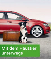 Mit dem Haustier unterwegs