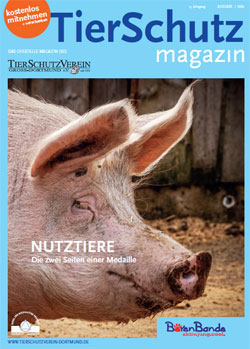 TSV Magazin