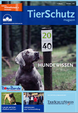 Heft 16-1